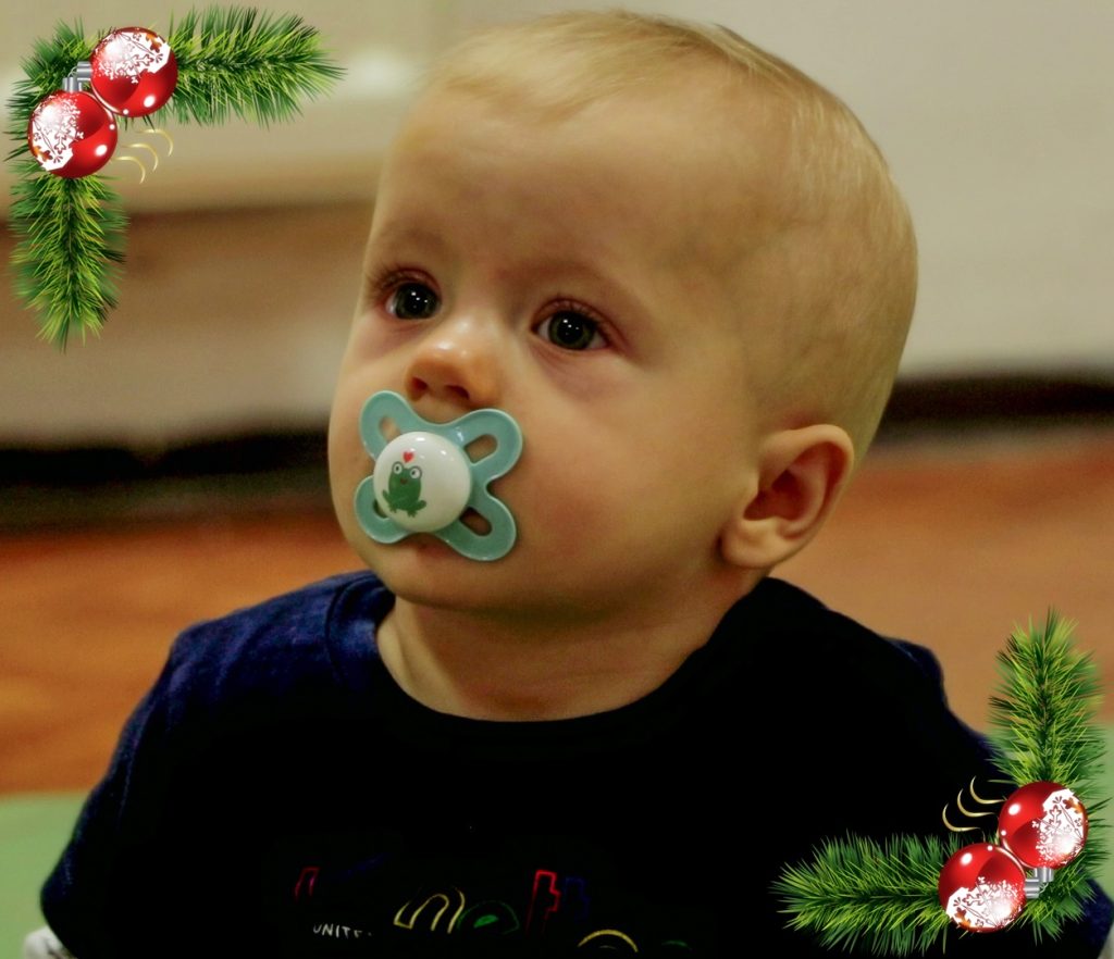cuki baba cumival a szájában a kép sarkain karácsonyi díszítés látható, fenyőág és piros díszek